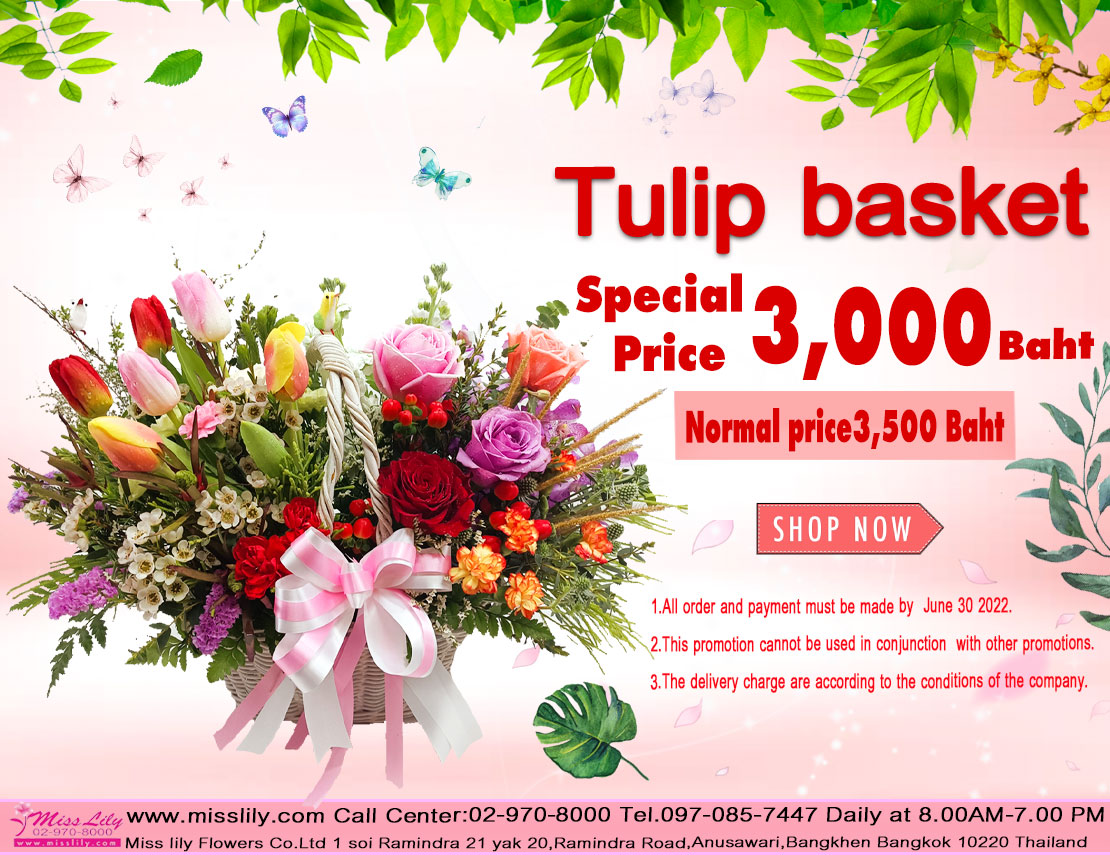 Tulip basket