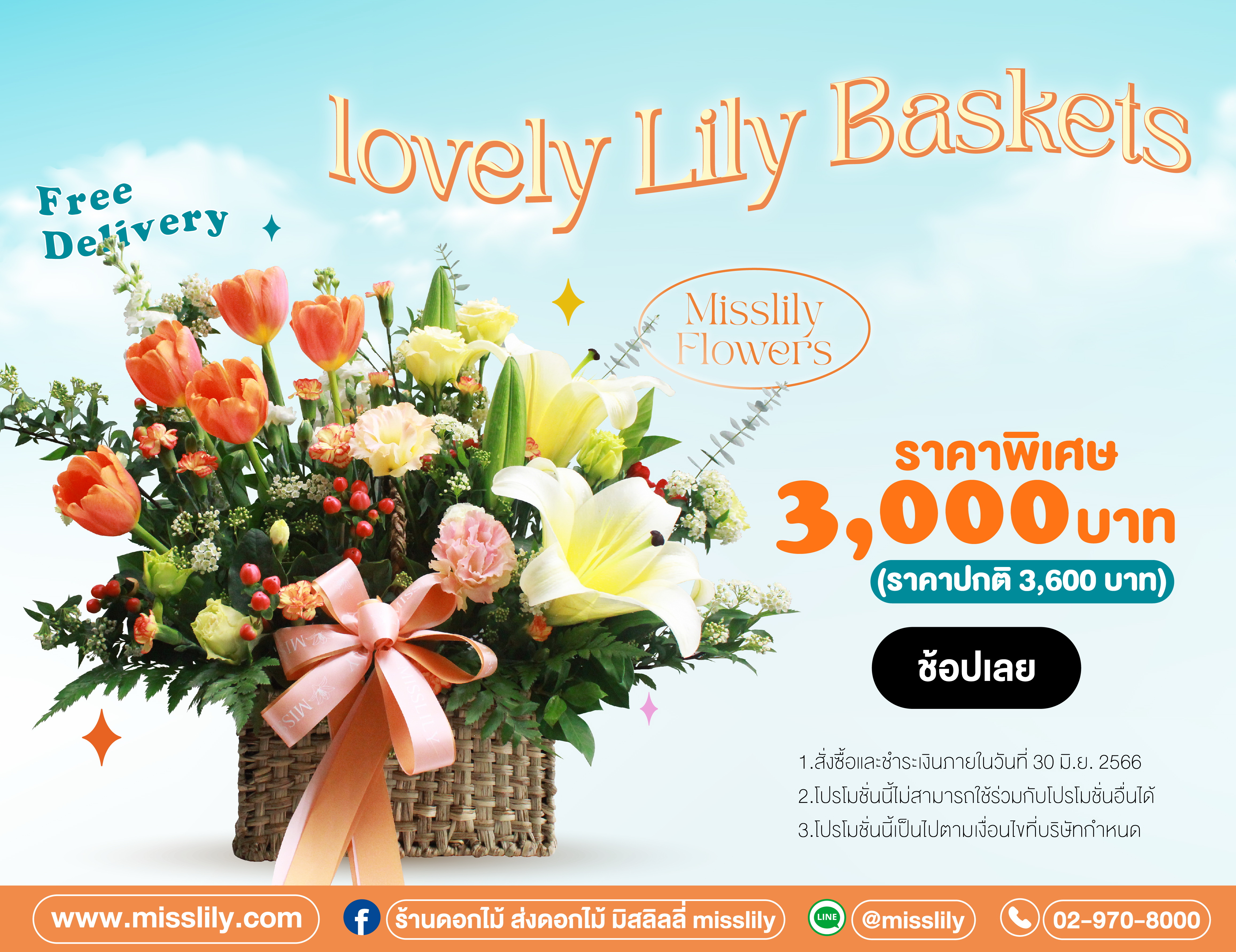 Lovely Lily Baskets